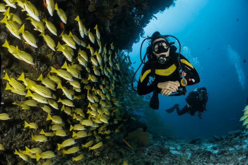 تجربة الغوص الأولى للمبتدئين في مياه أنطاليا الصافية - Oasis Dive Center