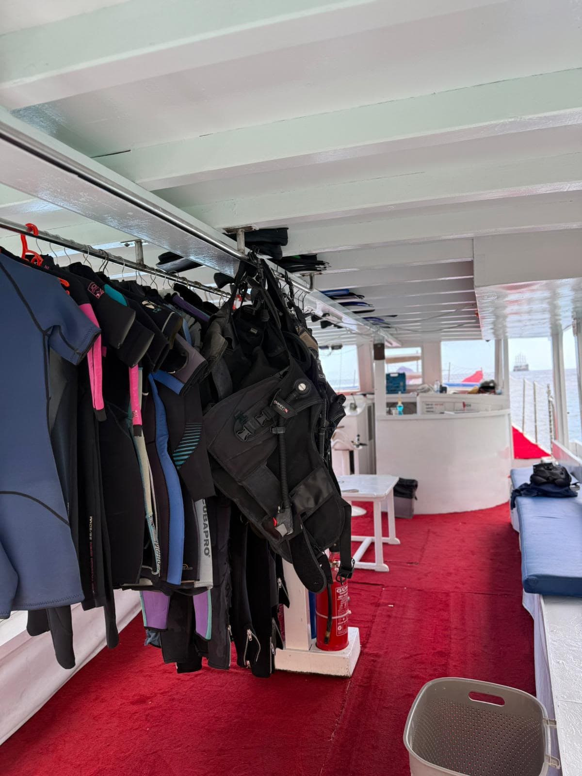 Oasis Dive Center underwater gallery photo showing divers and Mediterranean marine life