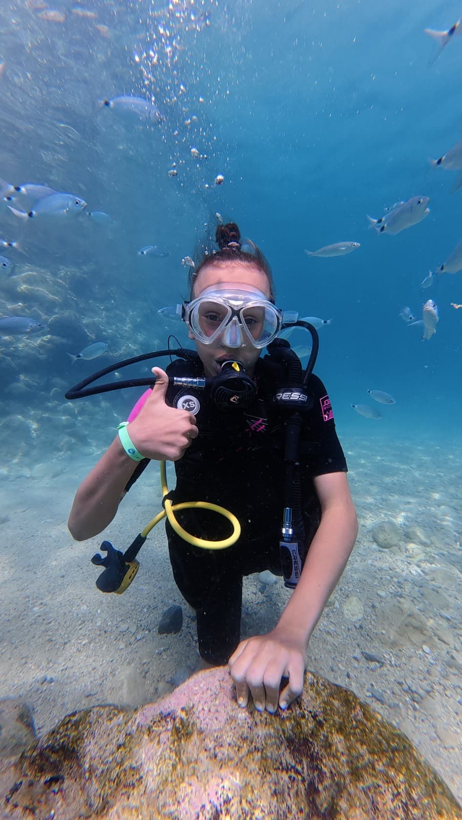 Oasis Dive Center underwater gallery photo showing divers and Mediterranean marine life