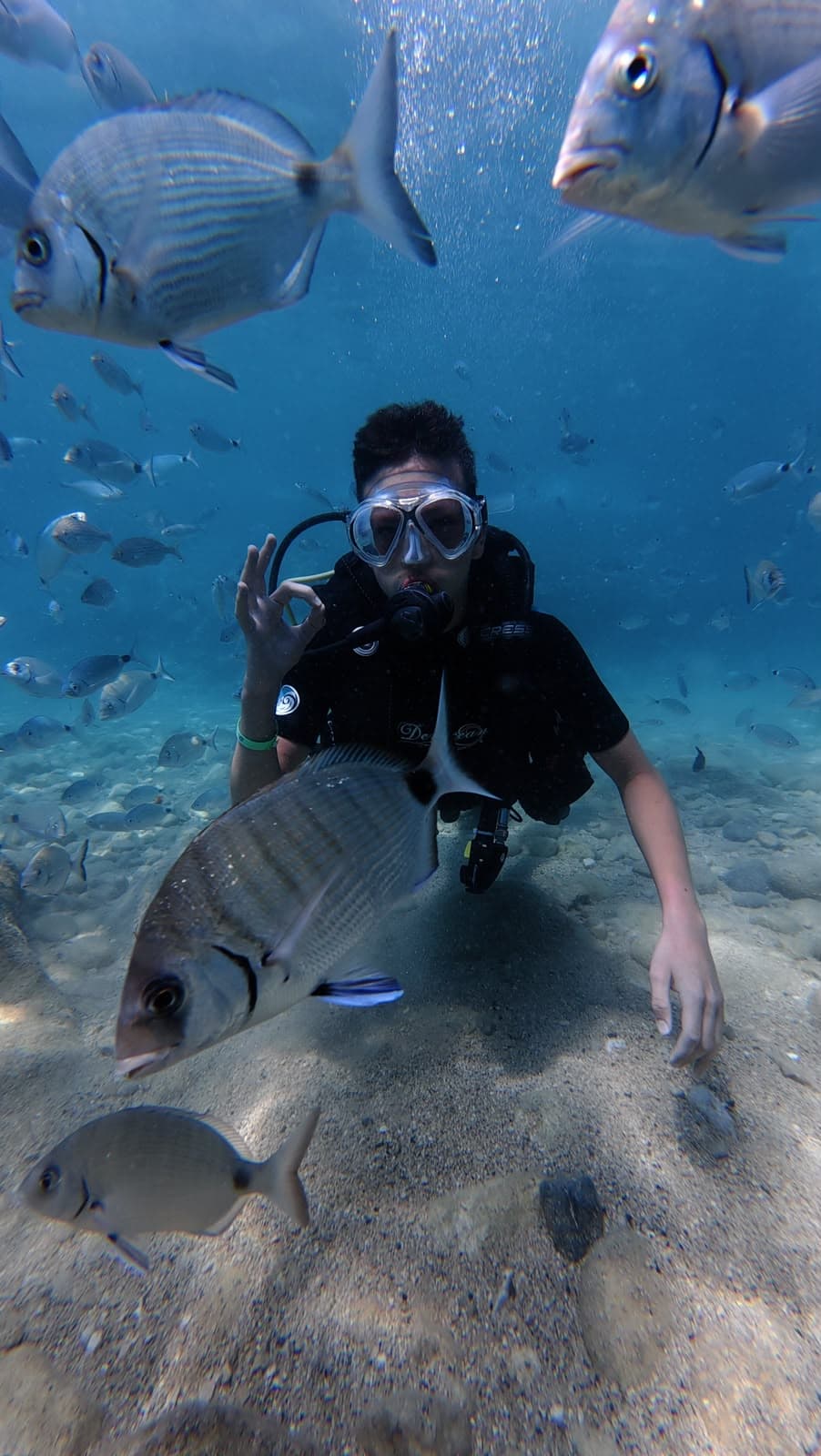 Oasis Dive Center underwater gallery photo showing divers and Mediterranean marine life