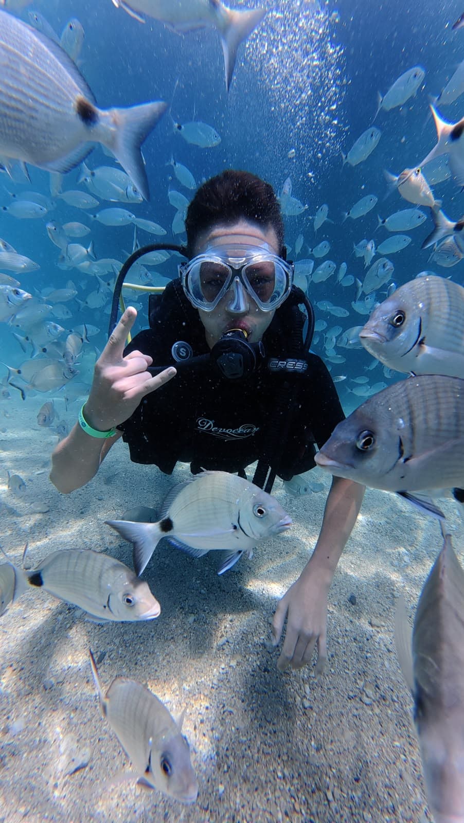 Oasis Dive Center underwater gallery photo showing divers and Mediterranean marine life