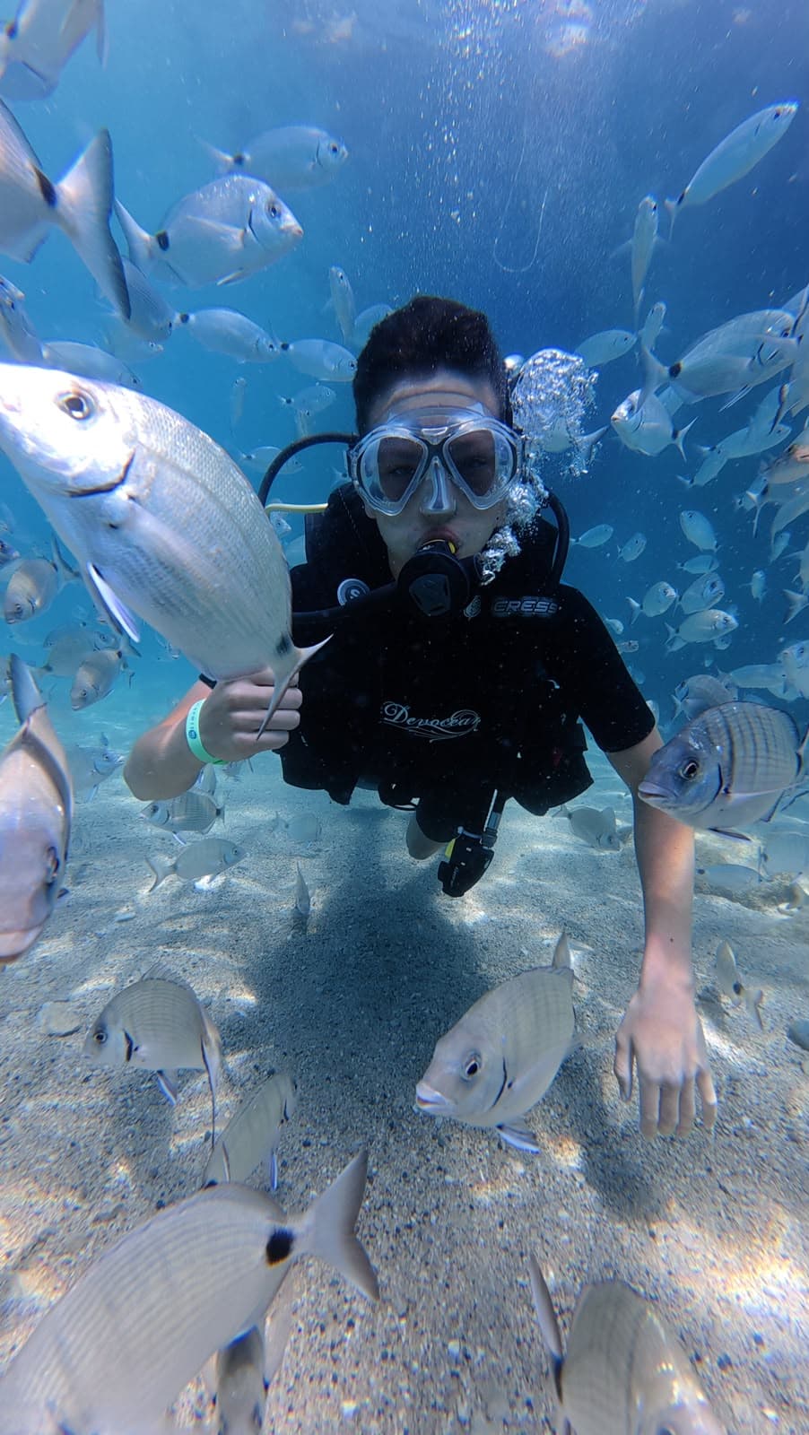 Oasis Dive Center underwater gallery photo showing divers and Mediterranean marine life