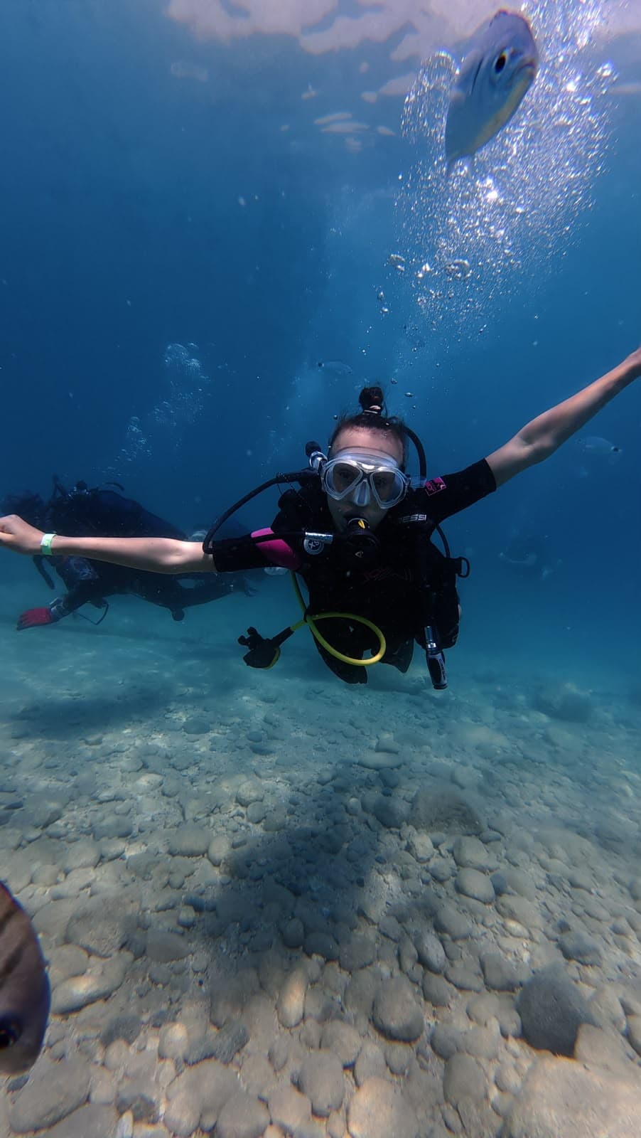 Oasis Dive Center underwater gallery photo showing divers and Mediterranean marine life