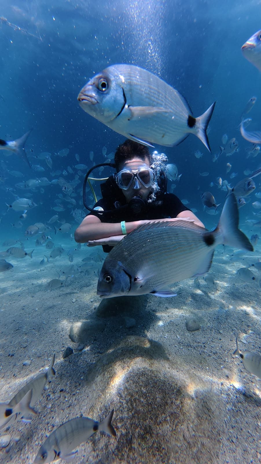 Oasis Dive Center underwater gallery photo showing divers and Mediterranean marine life